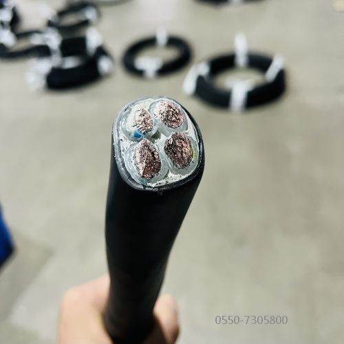 特种电缆.301.jpg