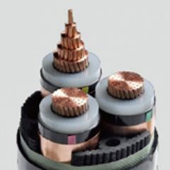 YJV23-10KV 3*50 铠装高压交联电缆- 10KV高压电缆-卷筒电缆_高柔性电缆_柔性电缆-亚星游戏-专业电缆生产厂家-安徽亚星游戏特种电缆最新产品推荐-专业生产卷筒电缆_柔性电缆_高柔性电缆等电缆产品-专业电缆生产厂家-电缆厂家