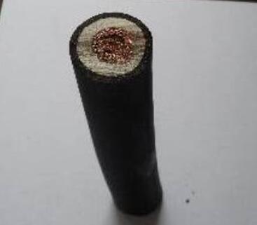 WDZ-DCYJ 低烟无卤机车用电缆- 新能源汽车电缆-卷筒电缆_高柔性电缆_柔性电缆-亚星游戏-专业电缆生产厂家-安徽亚星游戏特种电缆最新产品推荐-专业生产卷筒电缆_柔性电缆_高柔性电缆等电缆产品-专业电缆生产厂家-电缆厂家