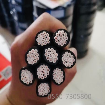亚星游戏·222(中国区)官方网站