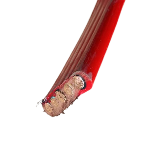 Ϸ222(й)ٷվ