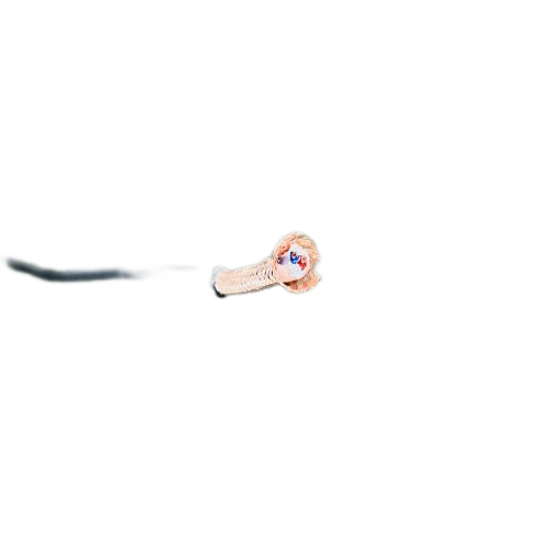 Ϸ222(й)ٷվ