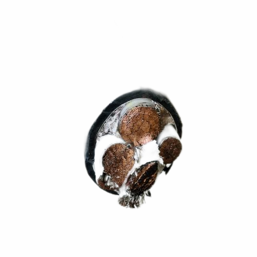 Ϸ222(й)ٷվ