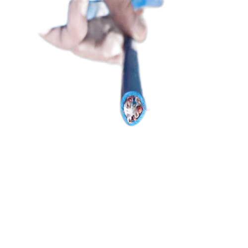 Ϸ222(й)ٷվ
