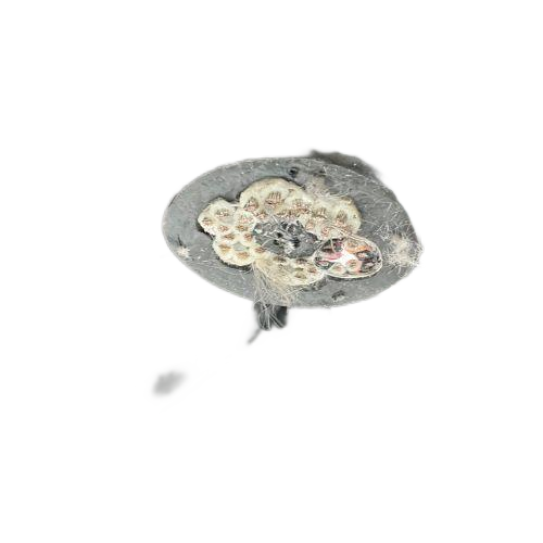 亚星游戏·222(中国区)官方网站