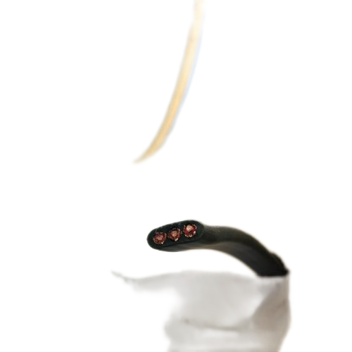 Ϸ222(й)ٷվ