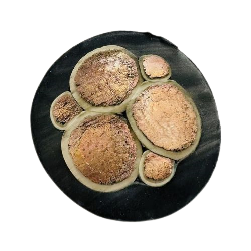 亚星游戏·222(中国区)官方网站