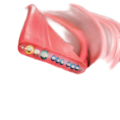 Ϸ222(й)ٷվ